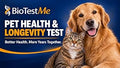At-Home Hair Analysis Test Kit for Dogs and Cats