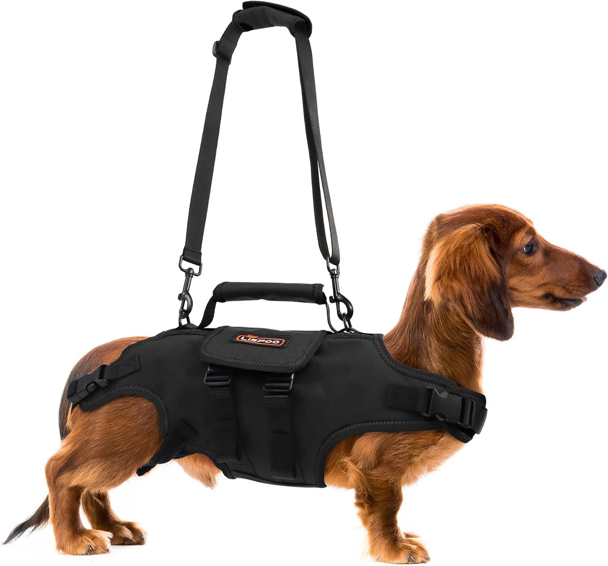 Full body Oxford cloth lift harness with adjustable handle on a senior dog – view 2