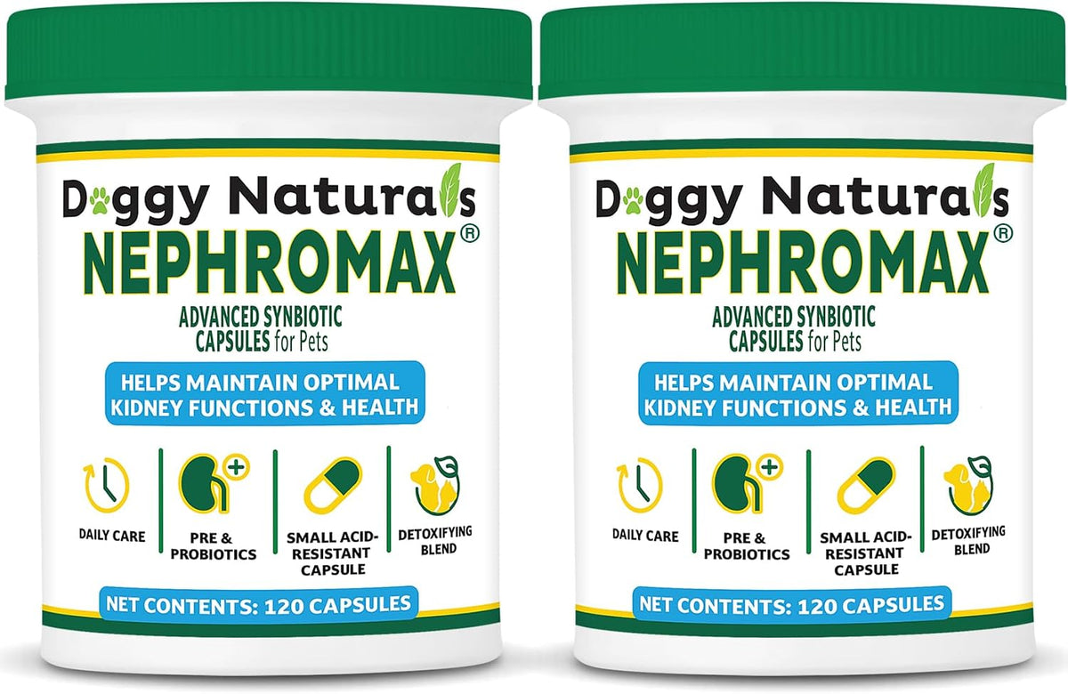 Bottle of synbiotic probiotic capsules for dogs and cats, 240 count