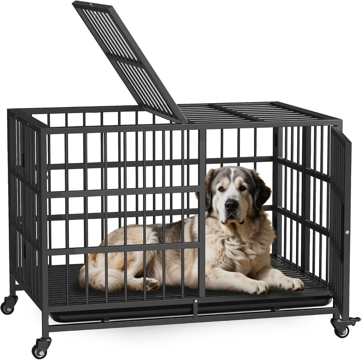 Black heavy-duty metal dog crate with top door, tray and lockable wheels