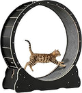 Large Cat Exercise Running Wheel with Detachable Carpet, Black