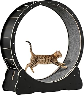 Large Cat Exercise Running Wheel with Detachable Carpet, Black
