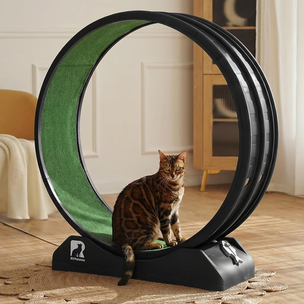 47.2 inch indoor cat exercise wheel with carpeted runway