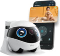 Mini mobile pet camera robot on a floor beside a curious cat