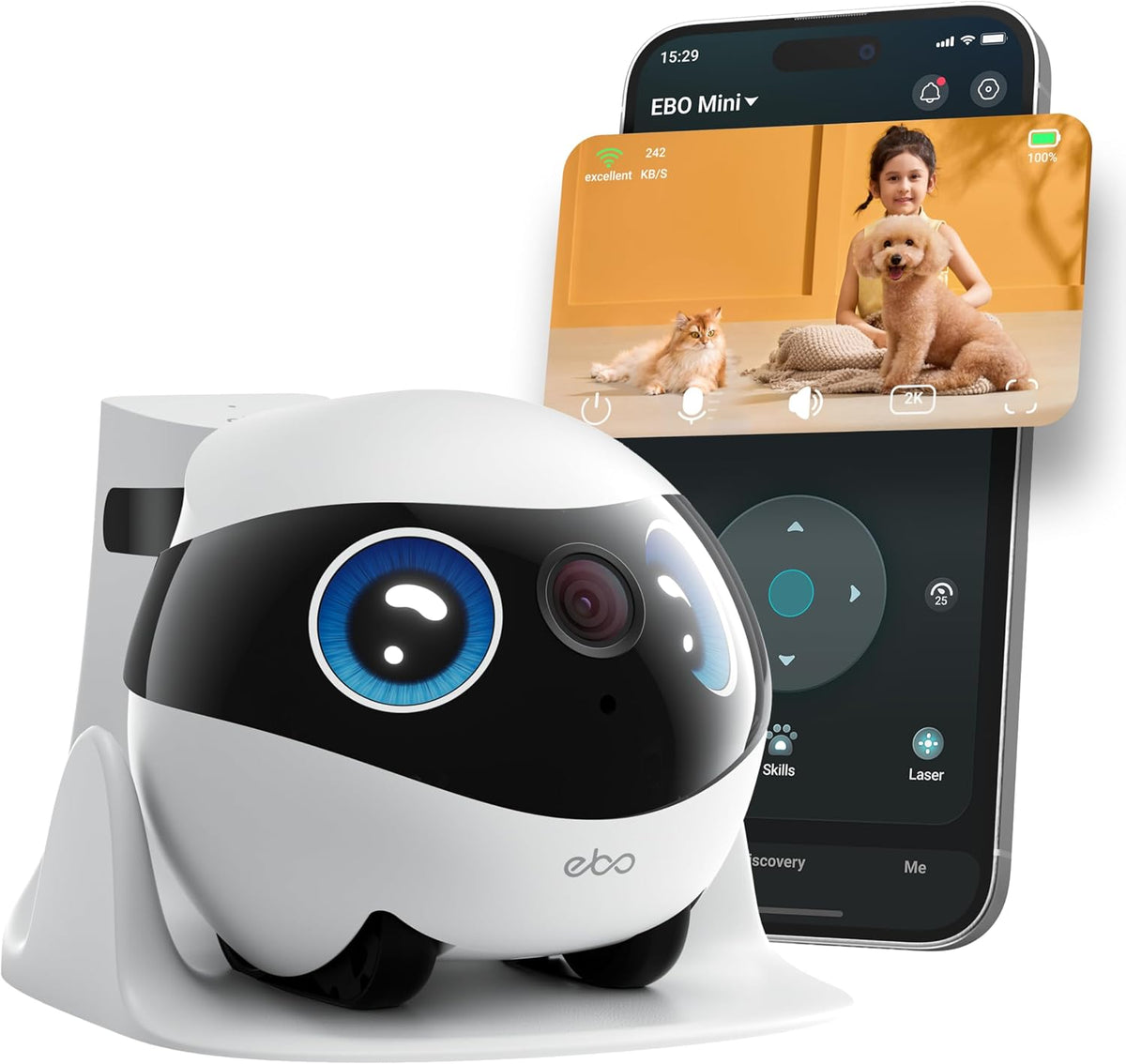Mini mobile pet camera robot on a floor beside a curious cat