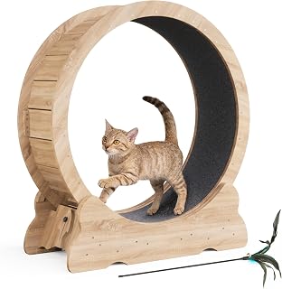Mondeer Cat Exercise Wheel, 35.4 Inch, Natural Wood
