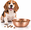 Round 7.87 inch hand forged copper pet bowl – view 2