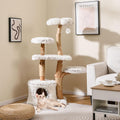 53 inch modern wood cat tree with plush perches and dangling ball