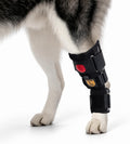 Hind leg dog brace with integrated air bladder and press pump