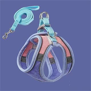Reflective Cat Vest Harness and Leash Set, Adjustable, Blue and Orange, Large