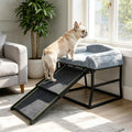 Small dog sitting on a window perch platform with attached ramp
