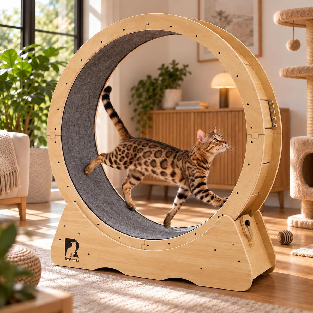 Large 43 inch cat exercise running wheel on a stable base