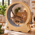 43" Large Cat Exercise Wheel with Safety Lock and Stable Base, 12" Wide, for Cats Up to 55 lbs