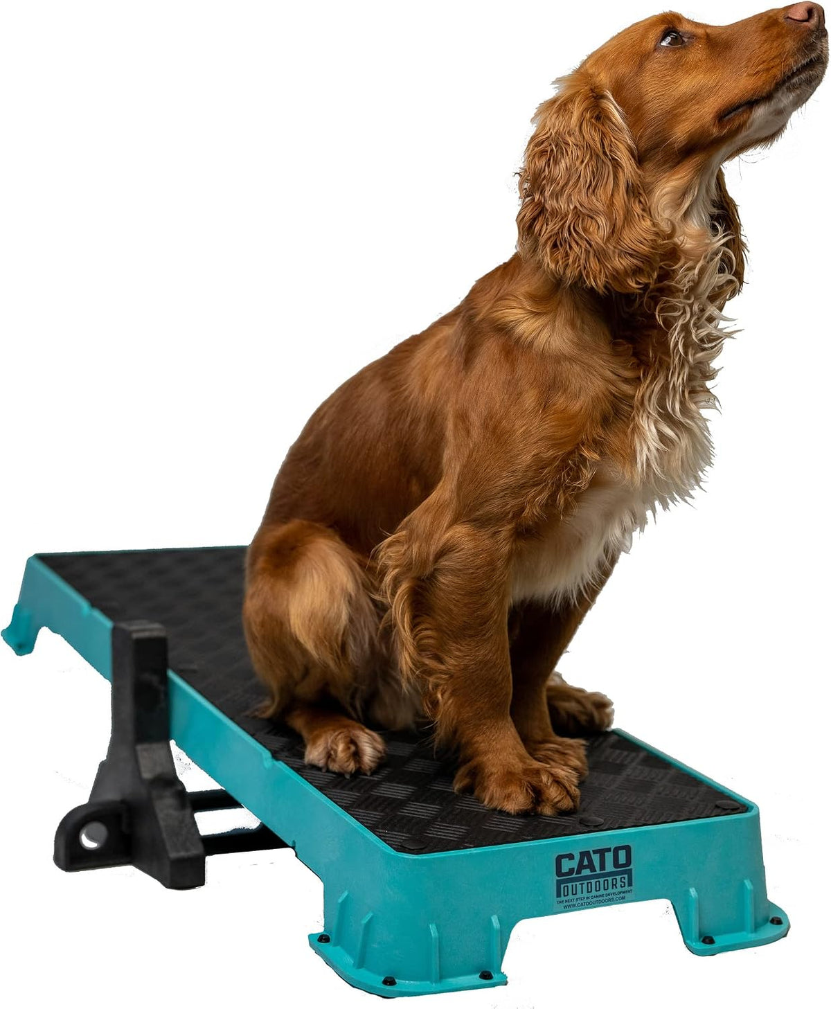 Teal XL dog training platform board resting on a tilt stand