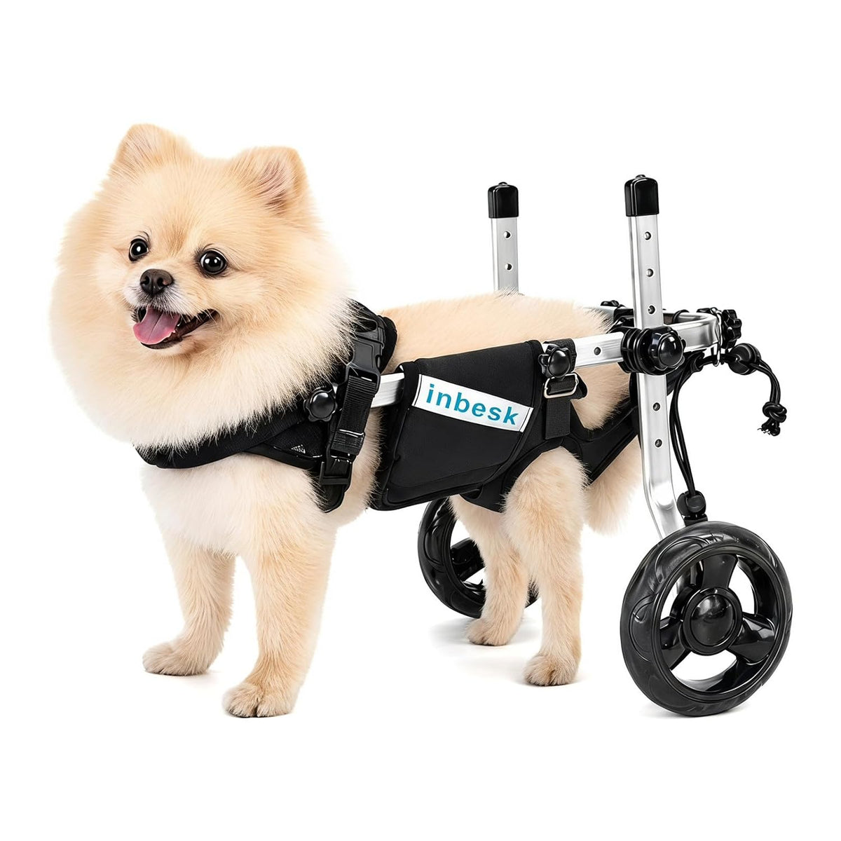 Small dog wheelchair with lightweight aluminum frame and wheels for back legs