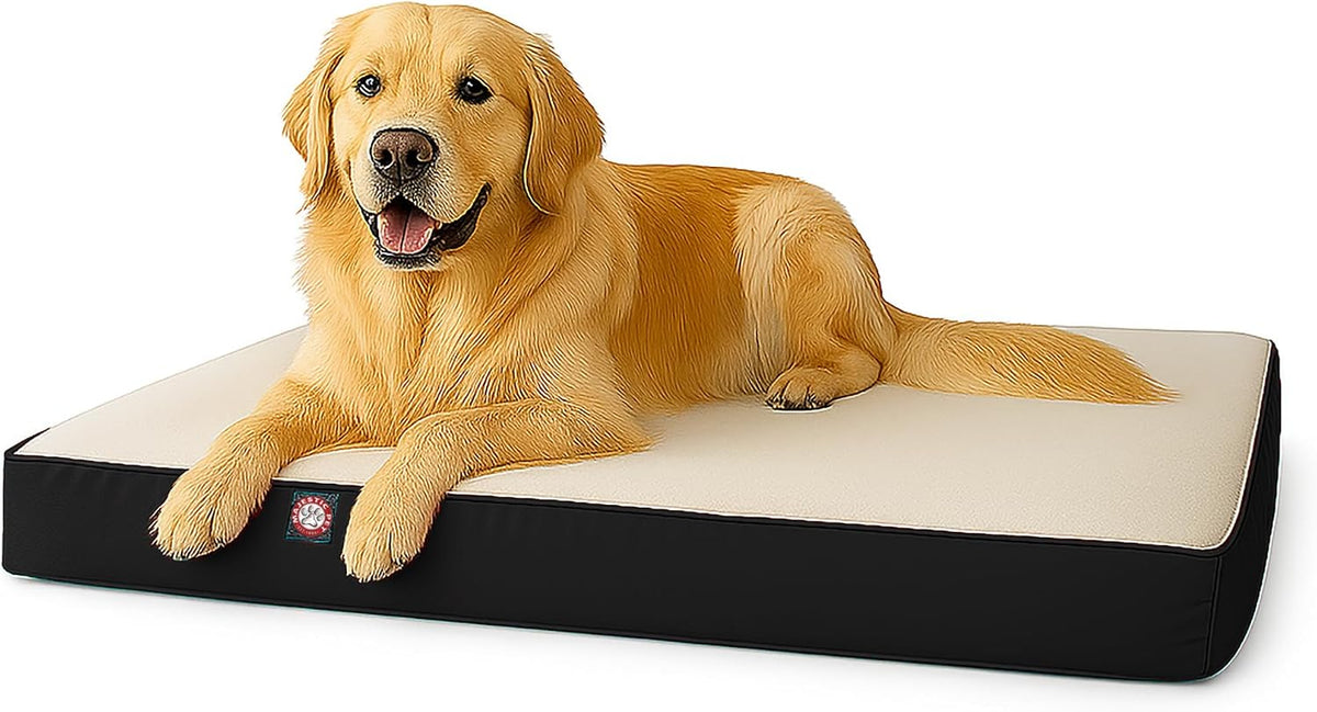 Black rectangle orthopedic memory foam crate dog bed, 48 by 34 inches