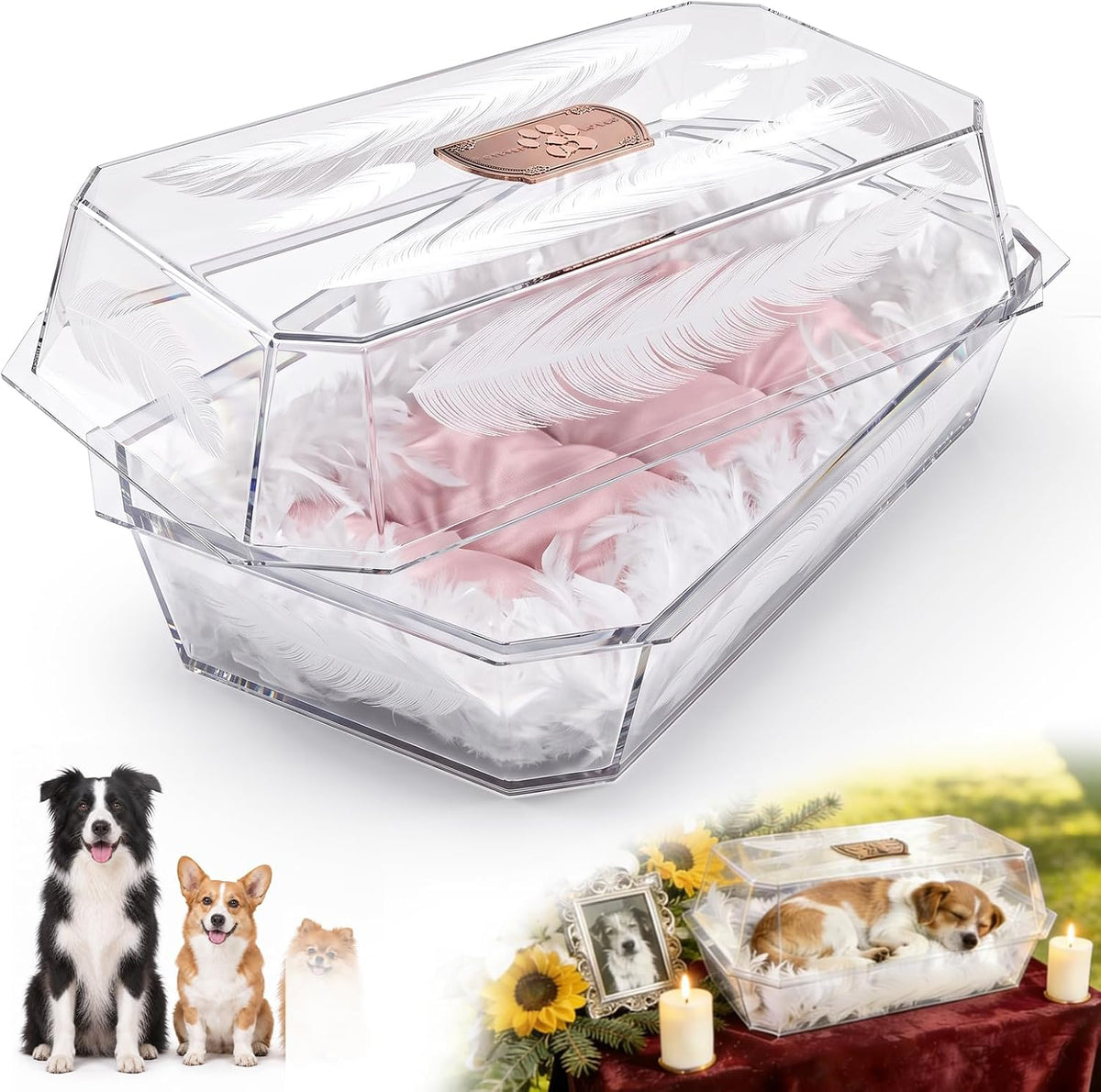 Clear acrylic pet burial casket with silk bedding and nameplate