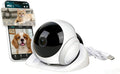 Small rolling pet camera robot with front lens on a wooden floor