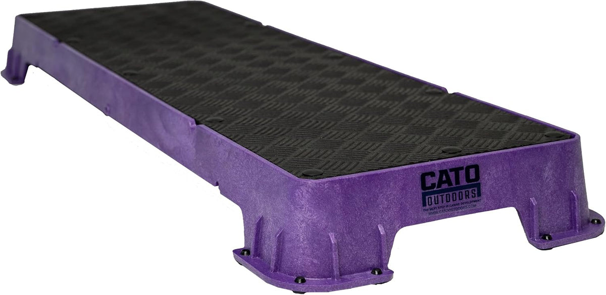 Teal XL dog training platform board resting on a tilt stand – view 2