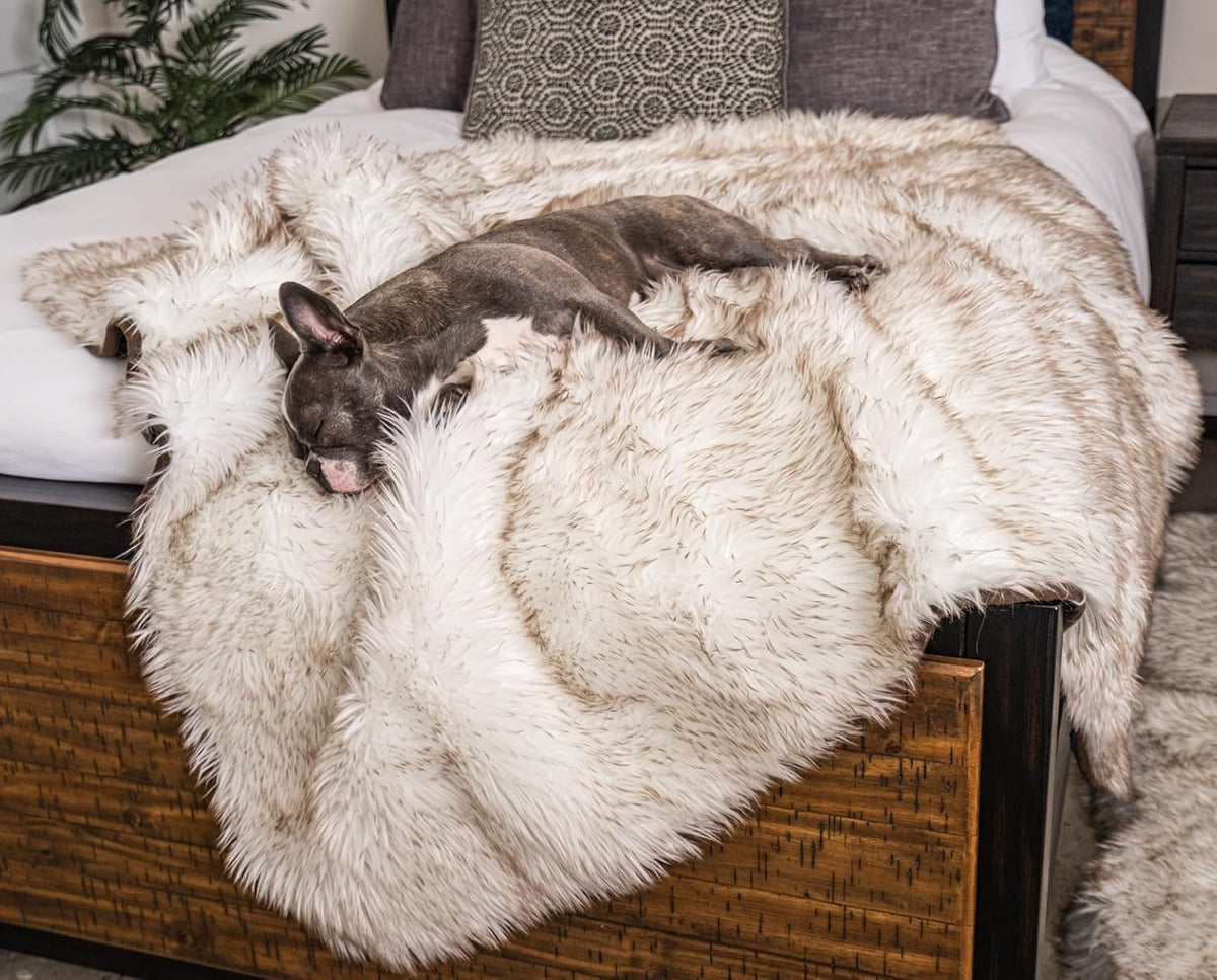 White faux fur waterproof pet blanket with brown accents on a sofa
