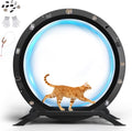 40 inch metal cat exercise wheel with carpet track and ear-shaped top – view 7