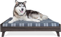 Gray wash wooden mid-century raised dog bed frame