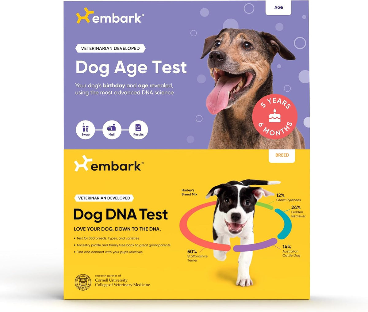 Dog DNA test kit box with cheek swab and sample tube for breed and age testing
