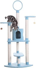 Armarkat 65-Inch Cat Tree, Model B6605, Sky Blue