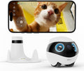 Small round mobile pet camera robot with blue eye display beside a cat