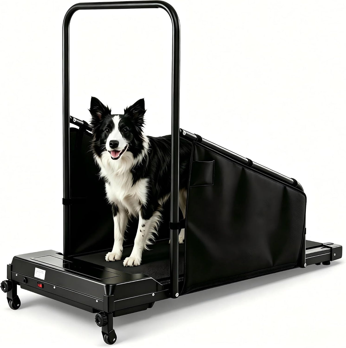 Black dog treadmill with side rails and display