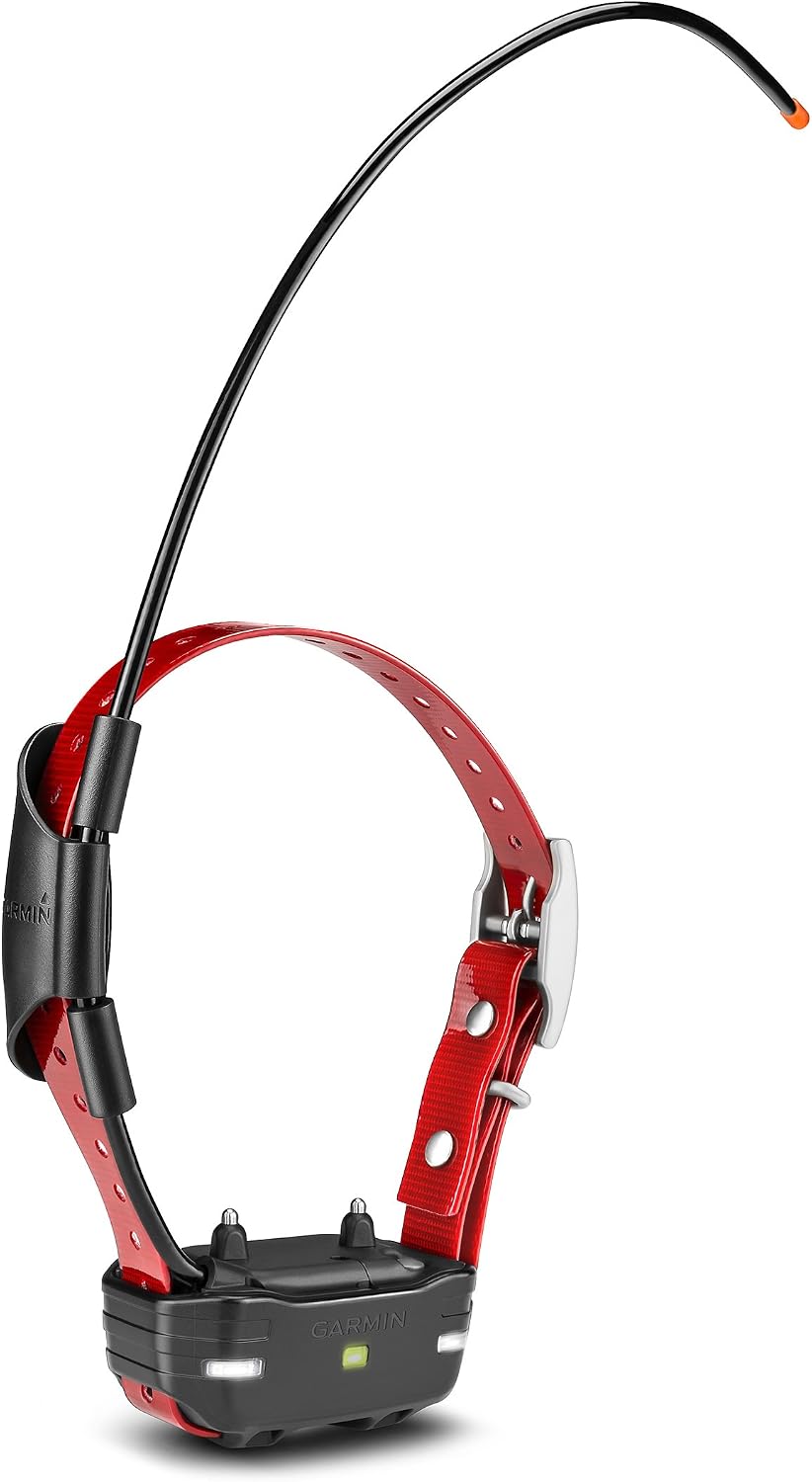 Red dog training device collar unit