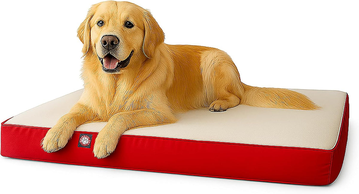 Black rectangle orthopedic memory foam crate dog bed, 48 by 34 inches – view 3