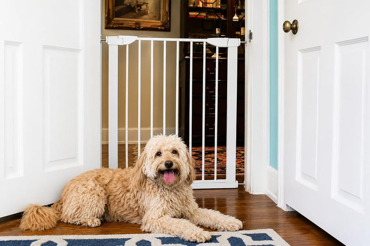 Black 36 inch pressure-mounted pet gate with walk-through door in a hallway – view 4