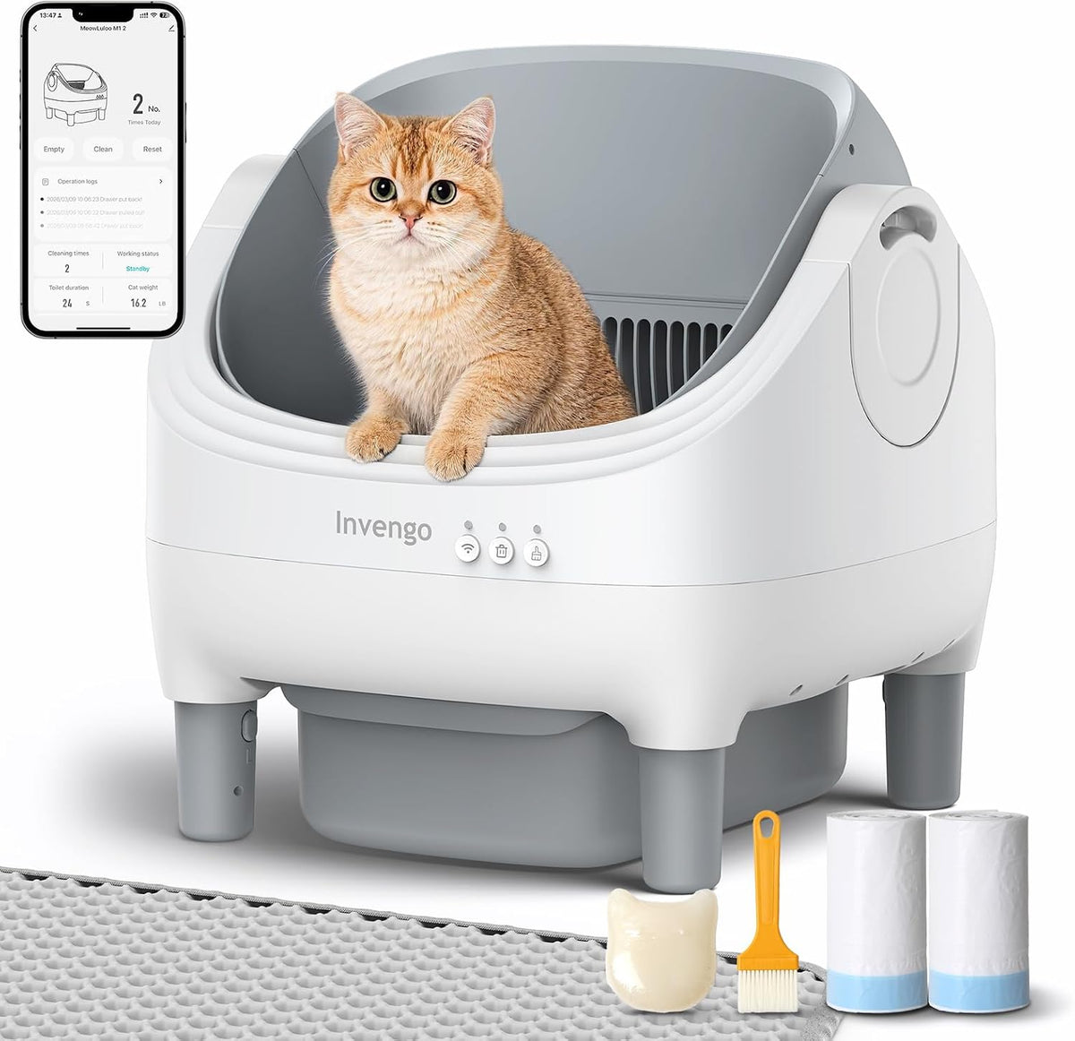Open-top self-cleaning automatic litter box