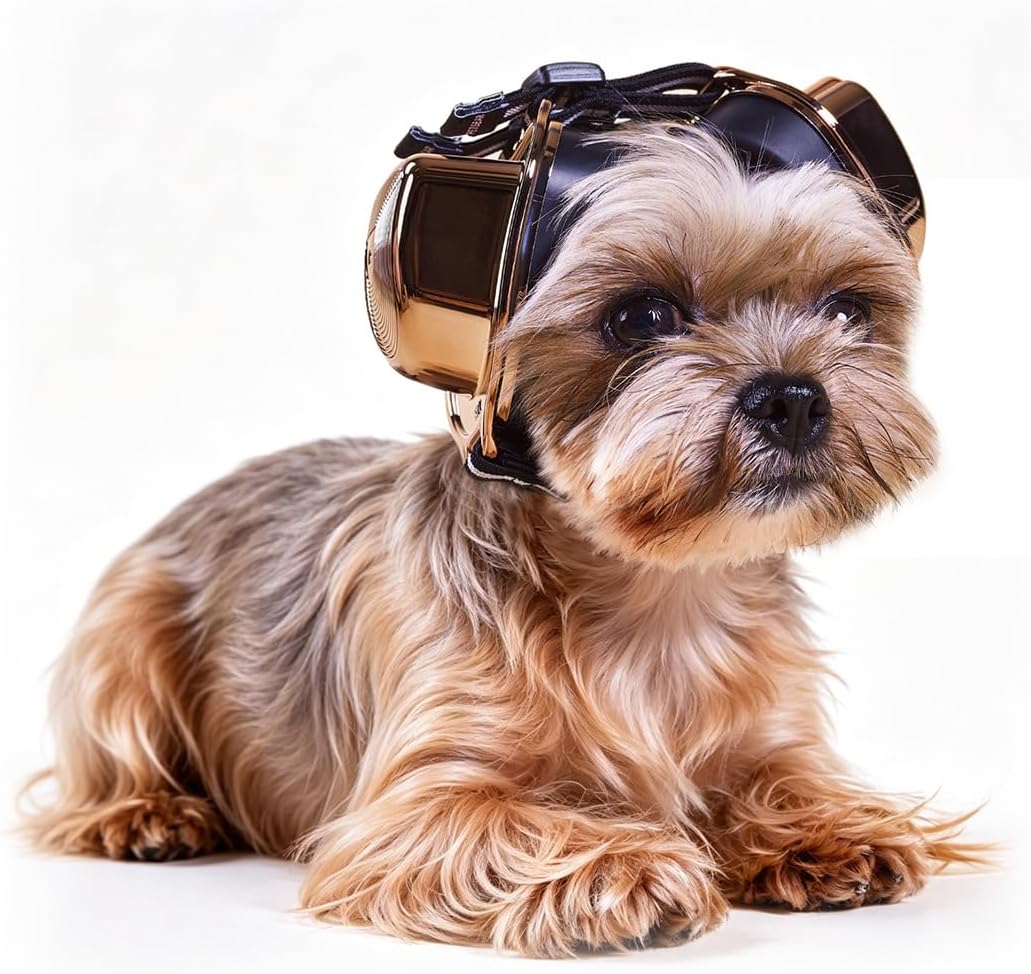Gold dog hearing protection headphones with magnetic buckle