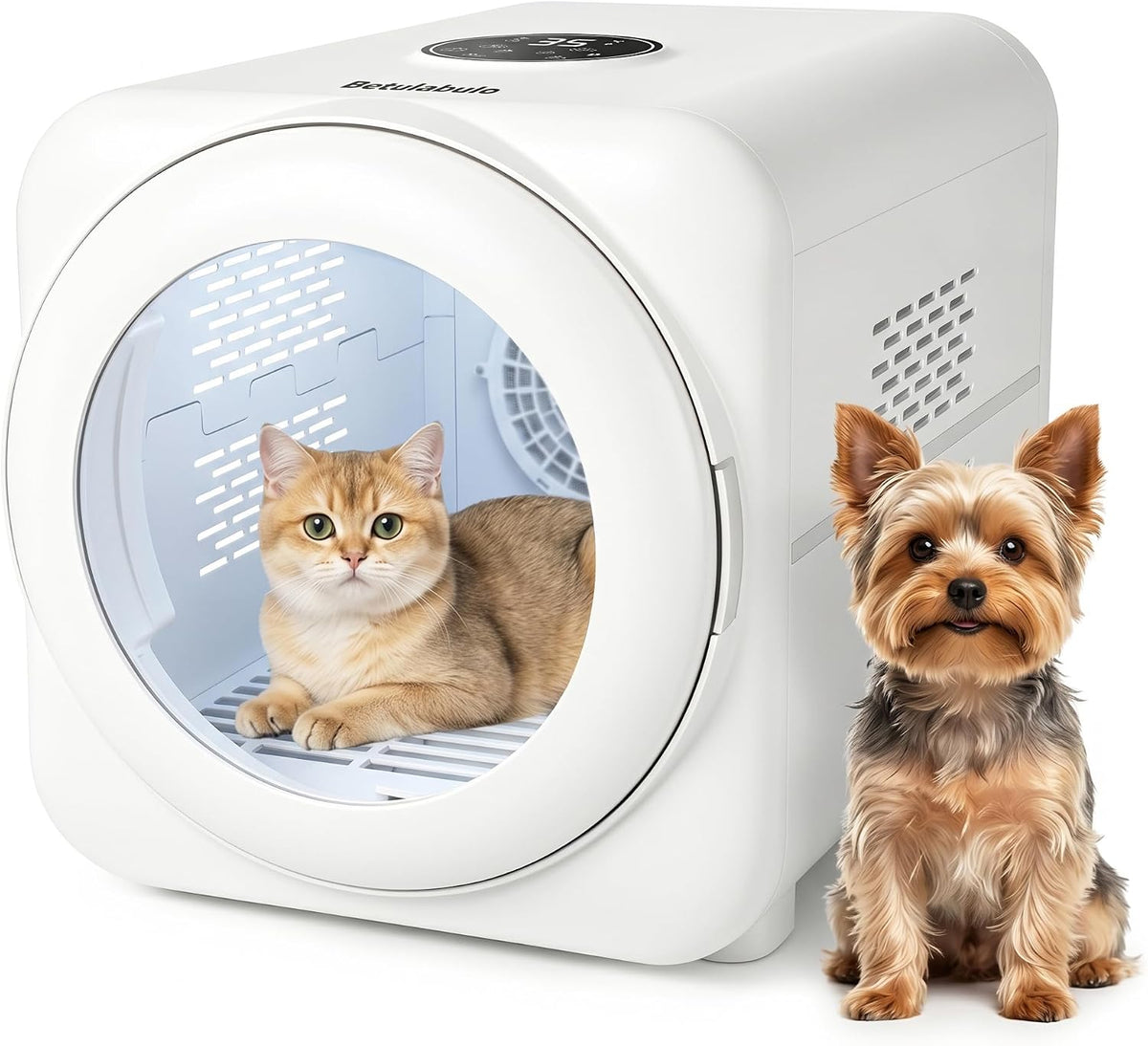 Automatic pet dryer box with cat inside