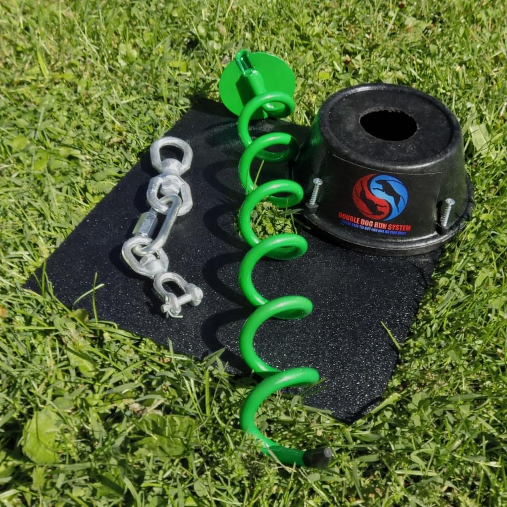 Heavy duty two dog tie-out stake with dual swivel topper in the ground