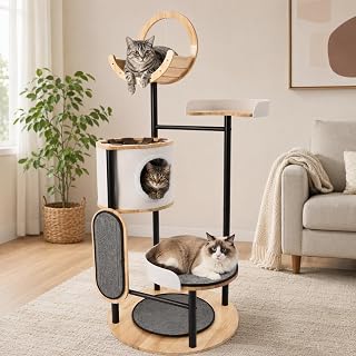 66 Inch Corner Cat Tree for Large Indoor Cats, Black