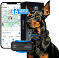 Black waterproof GPS tracker attached to a dog collar