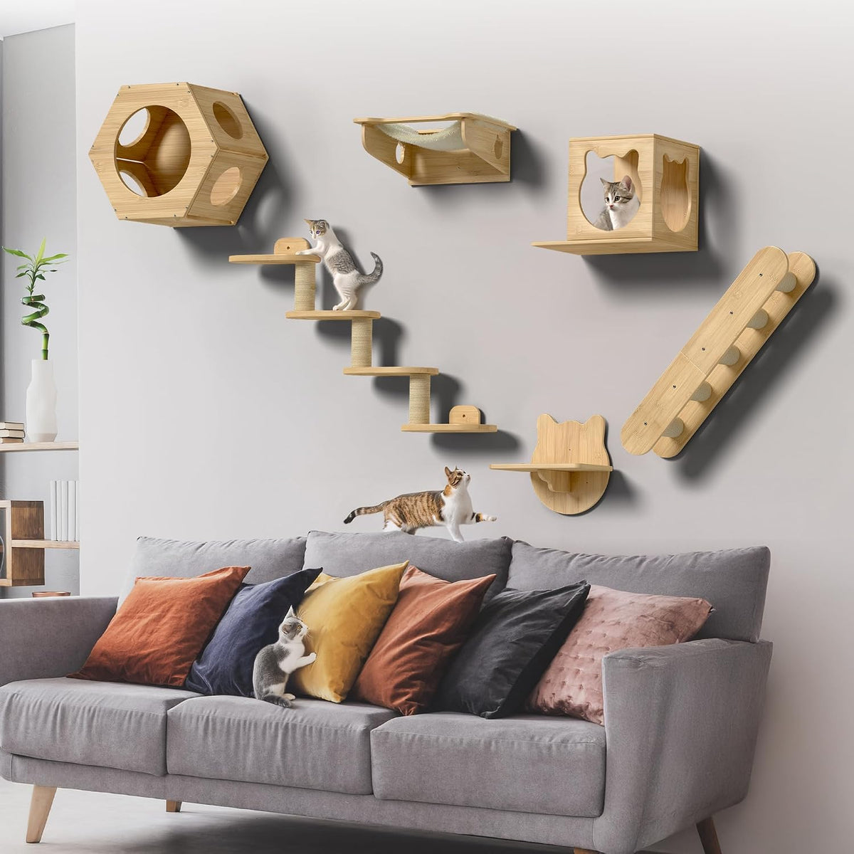 Bamboo cat shelves, bridge and hammock mounted on a living room wall