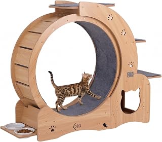 Cat Exercise Wheel Treadmill for Indoor Pets