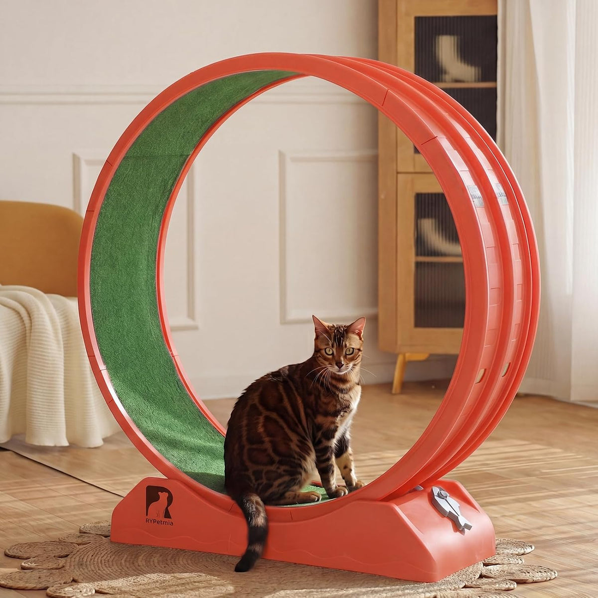 47.2 inch indoor cat exercise wheel with carpeted runway – view 9