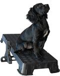 Teal XL dog training platform board resting on a tilt stand – view 4