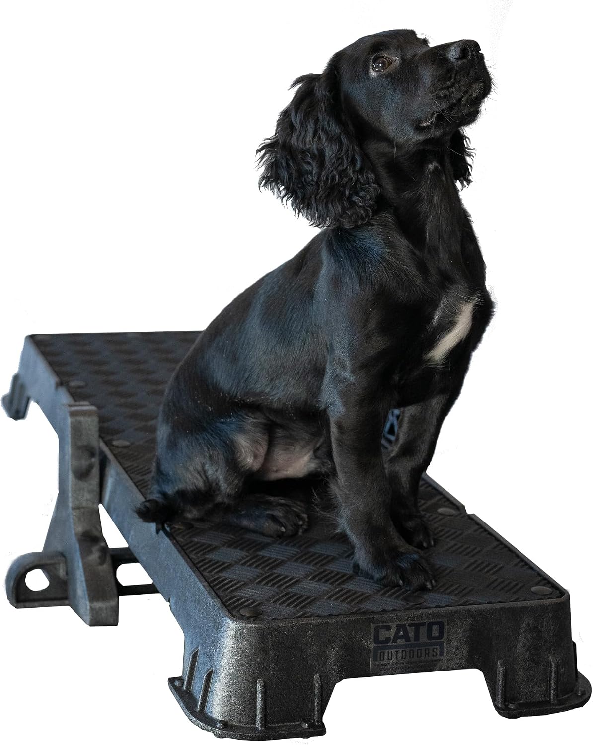 Teal XL dog training platform board resting on a tilt stand – view 4