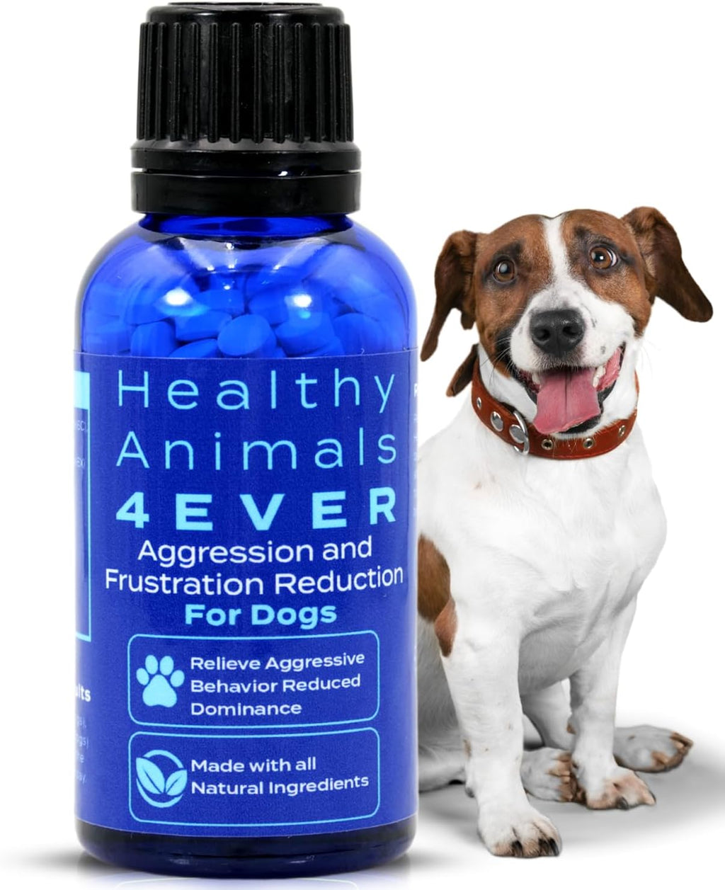 Kennel size container of homeopathic calming tablets for dogs – view 2