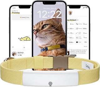 Smart Cat Collar with Safety Breakaway Buckle for Indoor Cats, Real-Time Monitoring, White and Jasmine, Size S