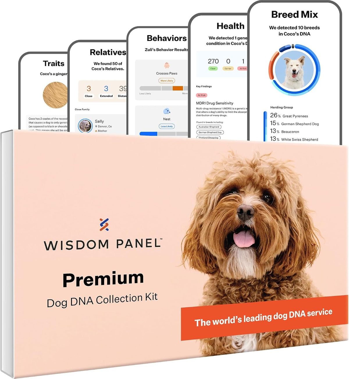 Dog DNA test kit box with cheek swab