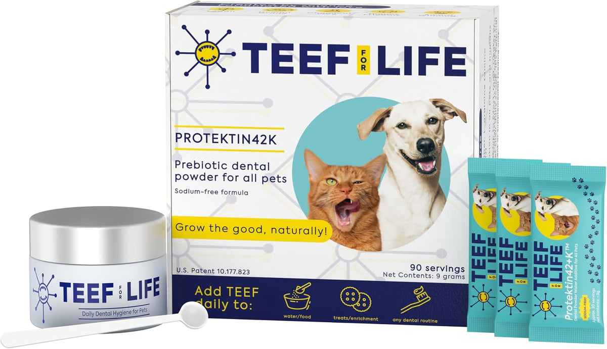 Prebiotic dental powder kit with three packets for dogs and cats – view 2