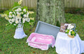 Medium pet burial casket vault with pink satin bedding and lace pillow