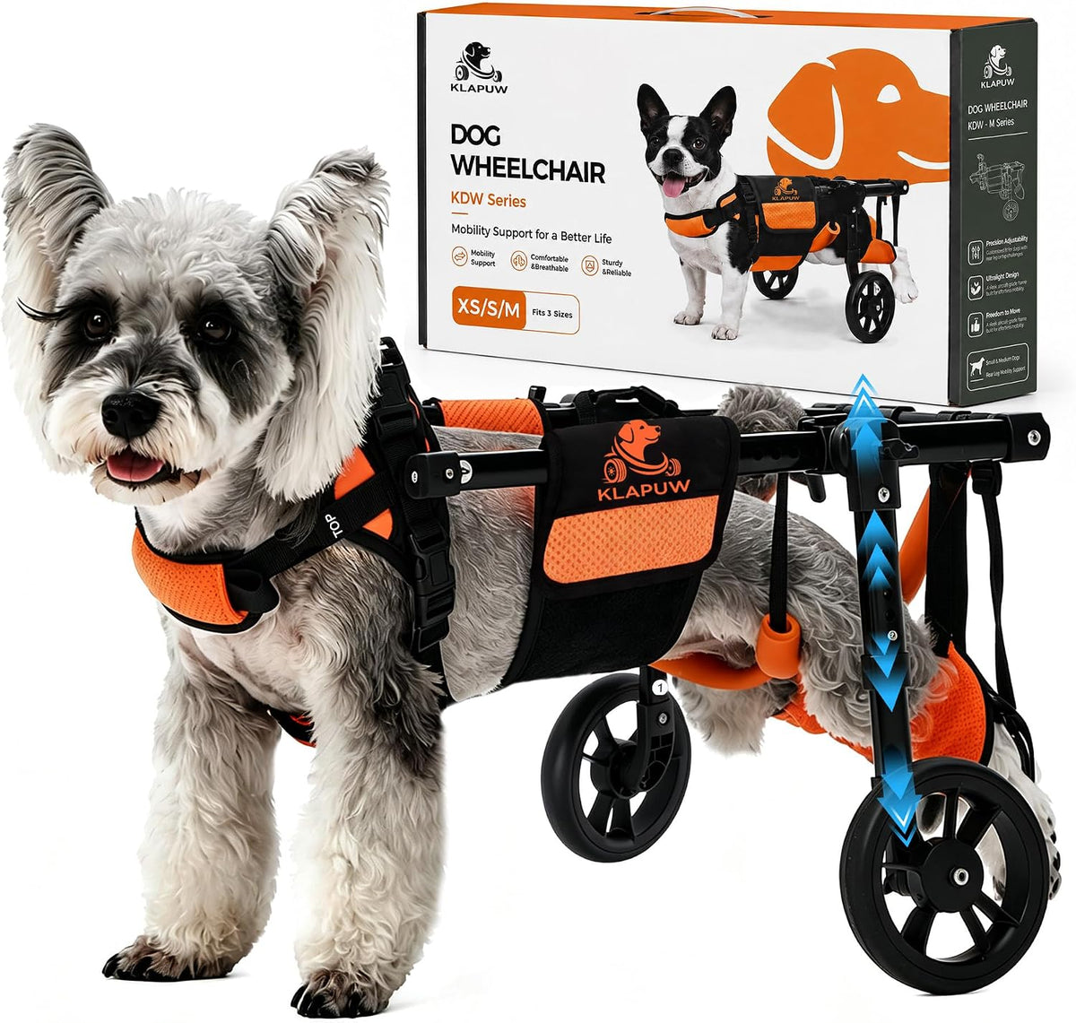 Adjustable dog wheelchair cart supporting a dog's hind legs